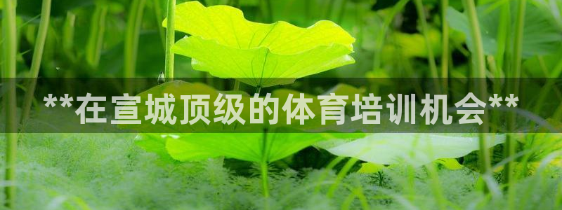 富联娱乐登录注册入口官网网址