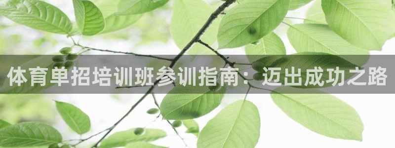 富联网是什么意思：体育单招培训班参训指南：迈出成功之