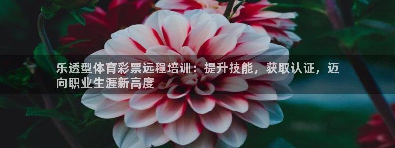 富联公寓租房怎么样：乐透型体育彩票远程培训：提升技能